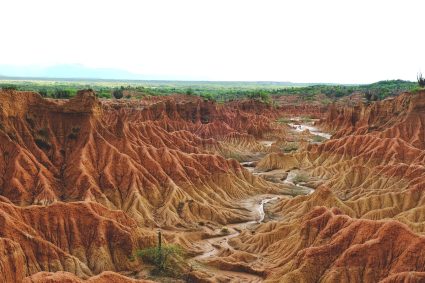 The Curse Causeless? | In the Shadow of Doubt: A Glimpse into the Depths of Job’s Suffering (Summary)